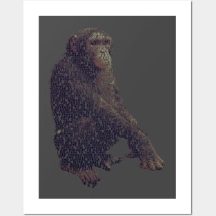 Chimpanzee Info Graphic Posters and Art